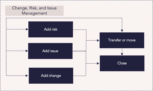 CZ Change Risk Issue Management Process Flow.png