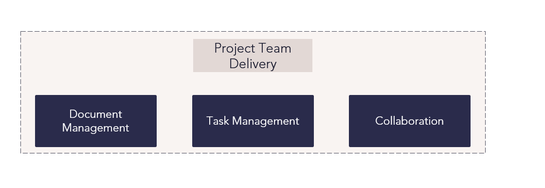 CZ Project Team Delivery Process Flow.png