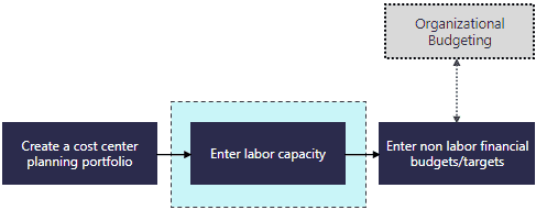 Program_-_Resource_Capacity_Planning_Capacity_Targets_Process_Steps.png