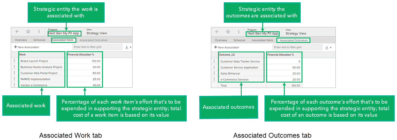 example of the information the Associated Work and Associated Outcomes tabs display for a strategic entity