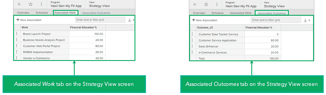example of the Strategy View screen's Associated Work and Associated Outcomes tabs